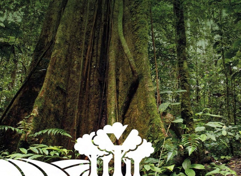 Guia do Novo Código Florestal